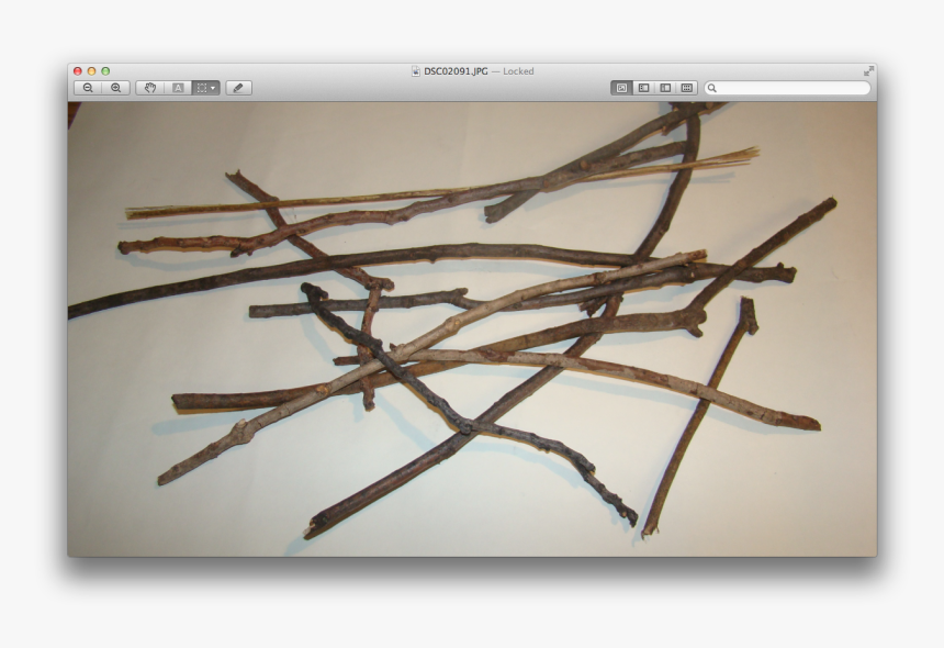 Transparent Twigs Png - Twig, Png Download, Free Download