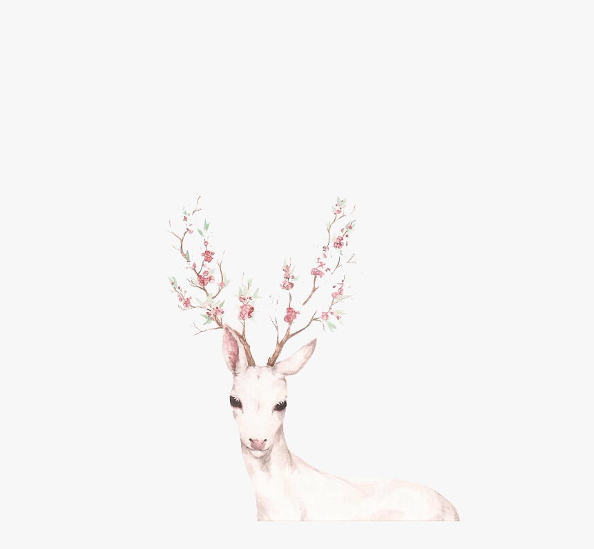 Deer White, HD Png Download, Free Download