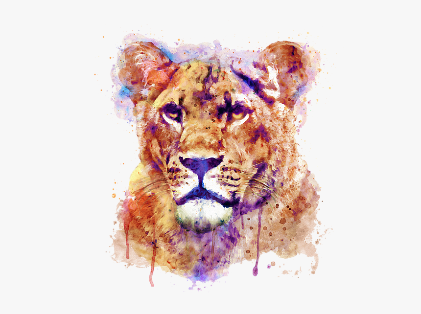 lioness png