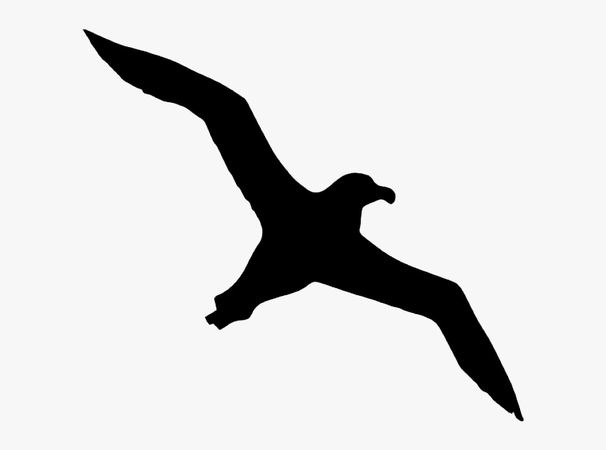 Bird Albatross Icon Albatross Silhouette Hd Png Download Kindpng 