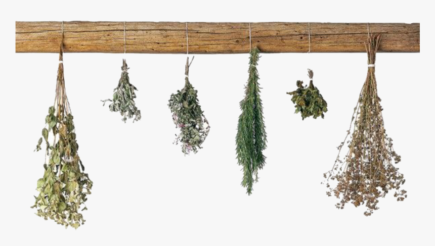 Image - Transparent Dried Herbs Png, Png Download, Free Download