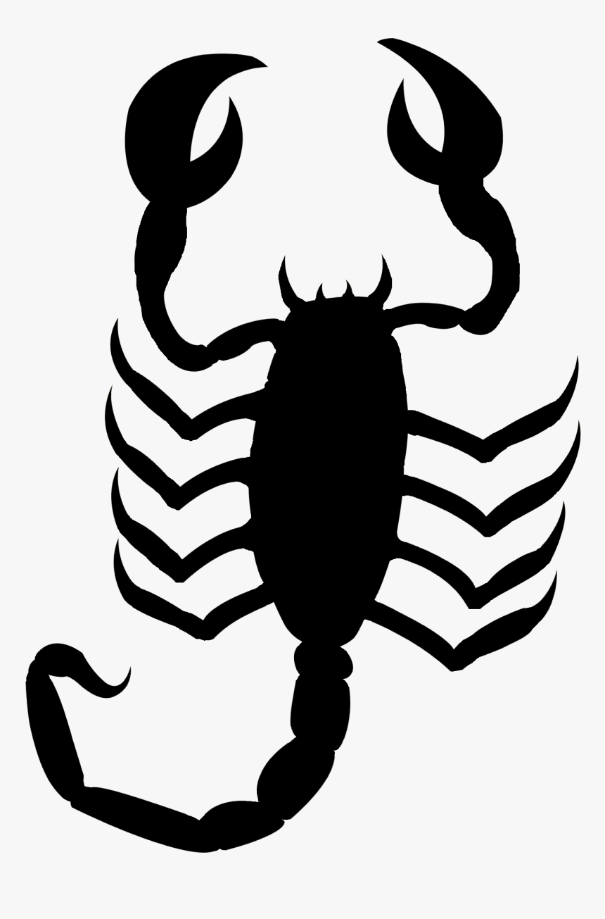 Scorpion Png Drawing, Transparent Png, Free Download