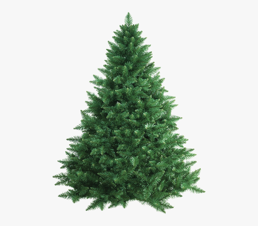 Fir Tree Png Transparent, Png Download, Free Download