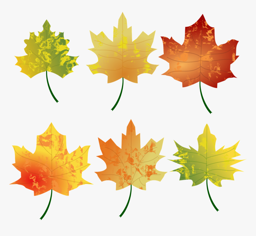 Autumn Leaves, HD Png Download, Free Download