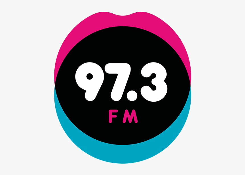 This radio. Радио 97.3. Pro fm логотип. Лого 97. Fm3.