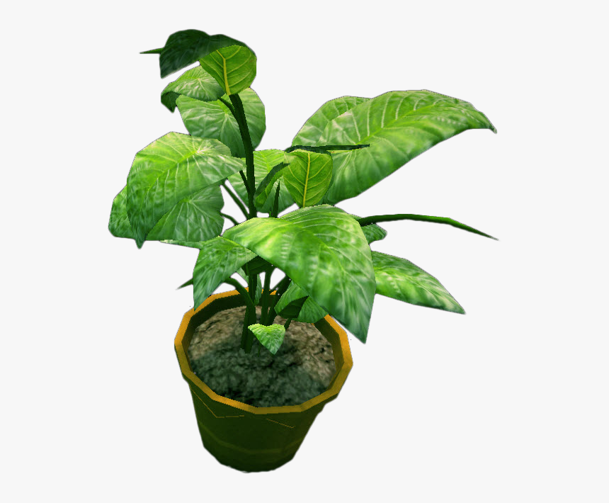 Transparent Indoor Plant Png - Potted Plant Top Png, Png Download, Free Download