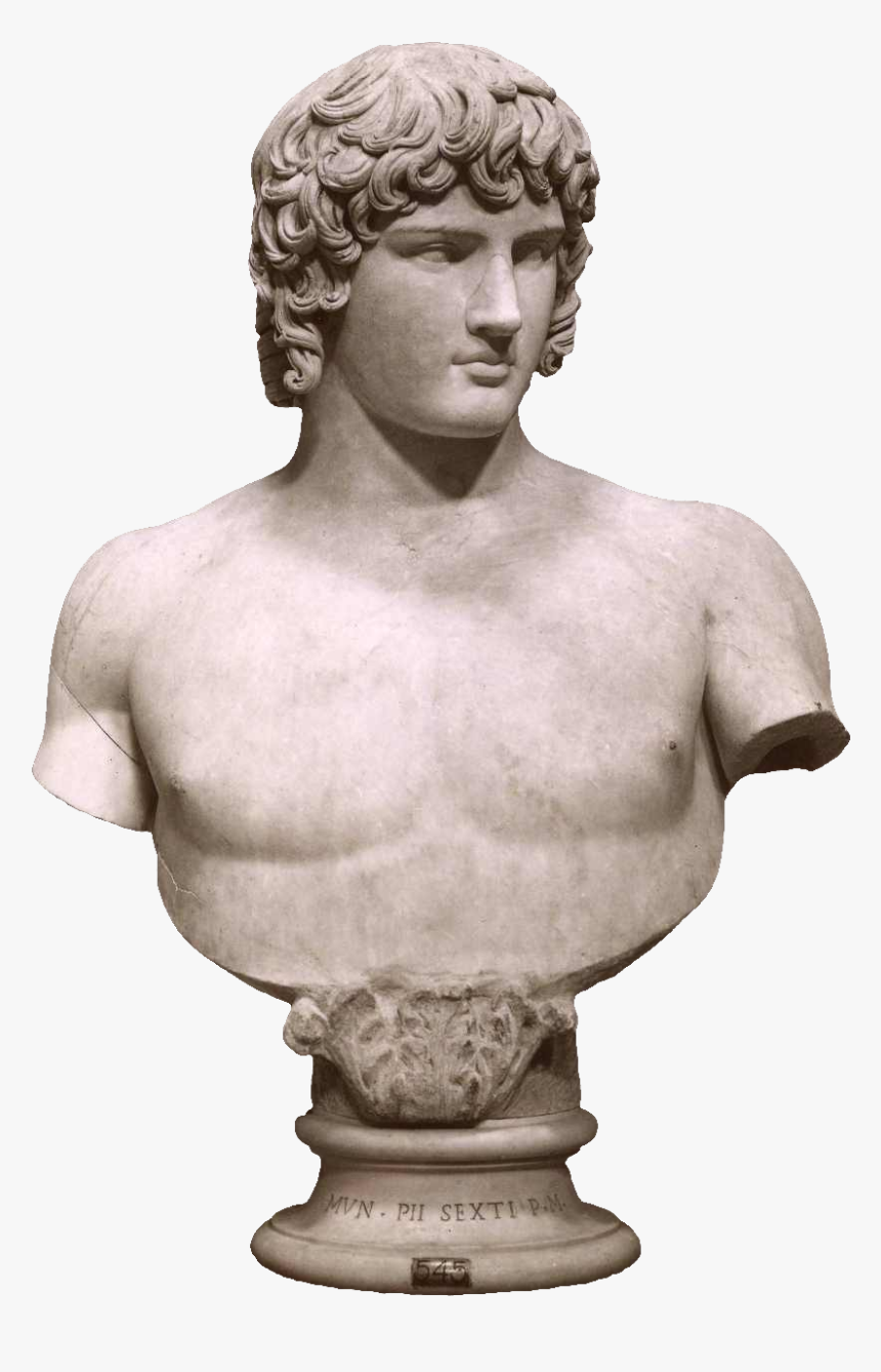 Anderson, James , Antinoo Ai Musei Vaticani, Ca - Museum Statue Png, Transparent Png, Free Download