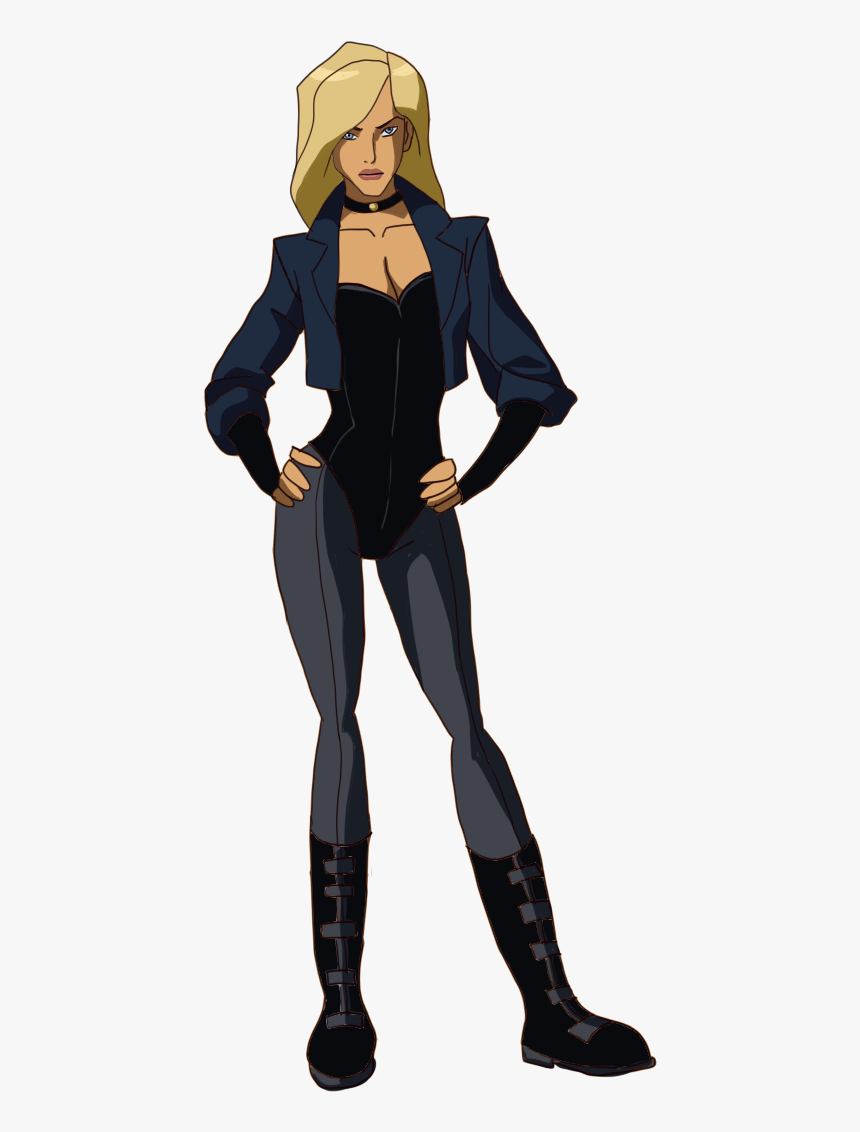 Black canary young justice