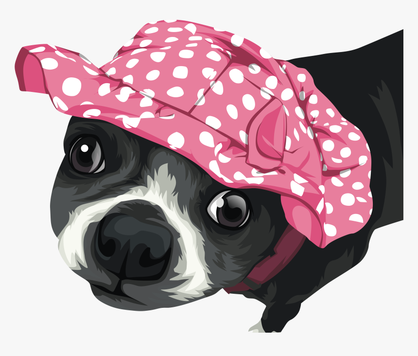 Attachment 1545614832 1 1 - Boston Terrier, HD Png Download, Free Download