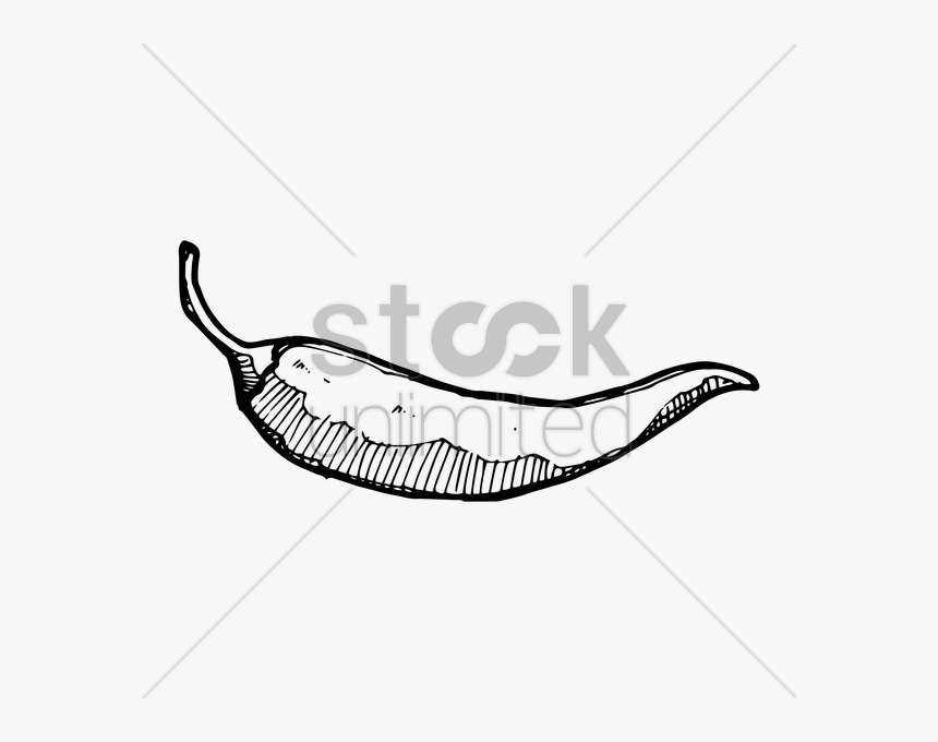 Hot Pepper Drawing At Getdrawings Com Free - Illustration, HD Png Download, Free Download