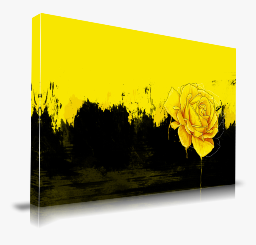 Yellow Rose - Garden Roses, HD Png Download, Free Download