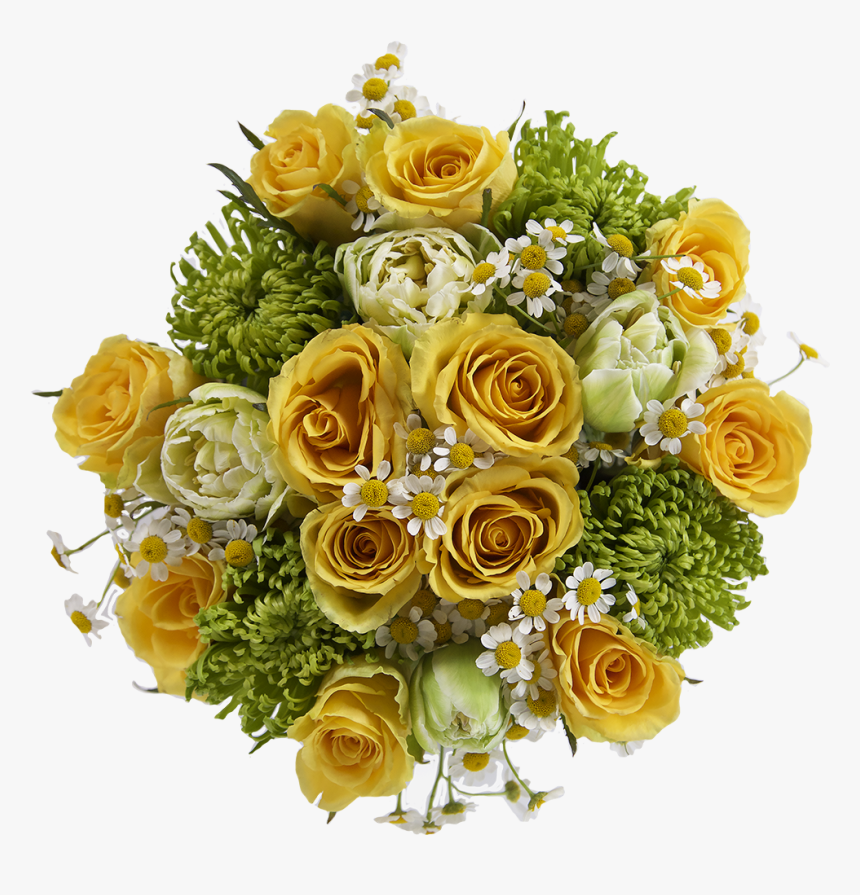 Transparent Yellow Brick Road Png - Garden Roses, Png Download, Free Download