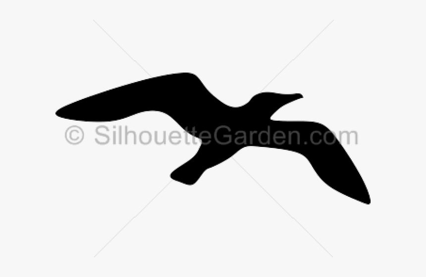 Seagull Silhouette Cliparts - European Swallow, HD Png Download, Free Download