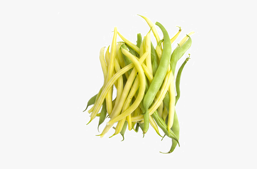 Green Bean, HD Png Download, Free Download