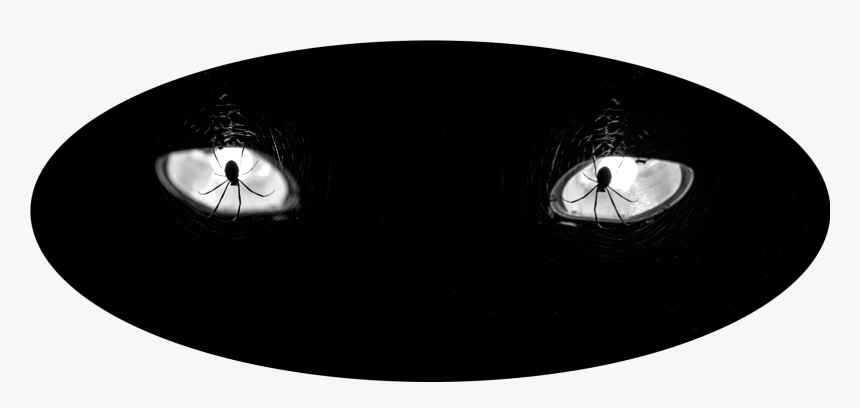 Spider Eyes - Circle, HD Png Download, Free Download