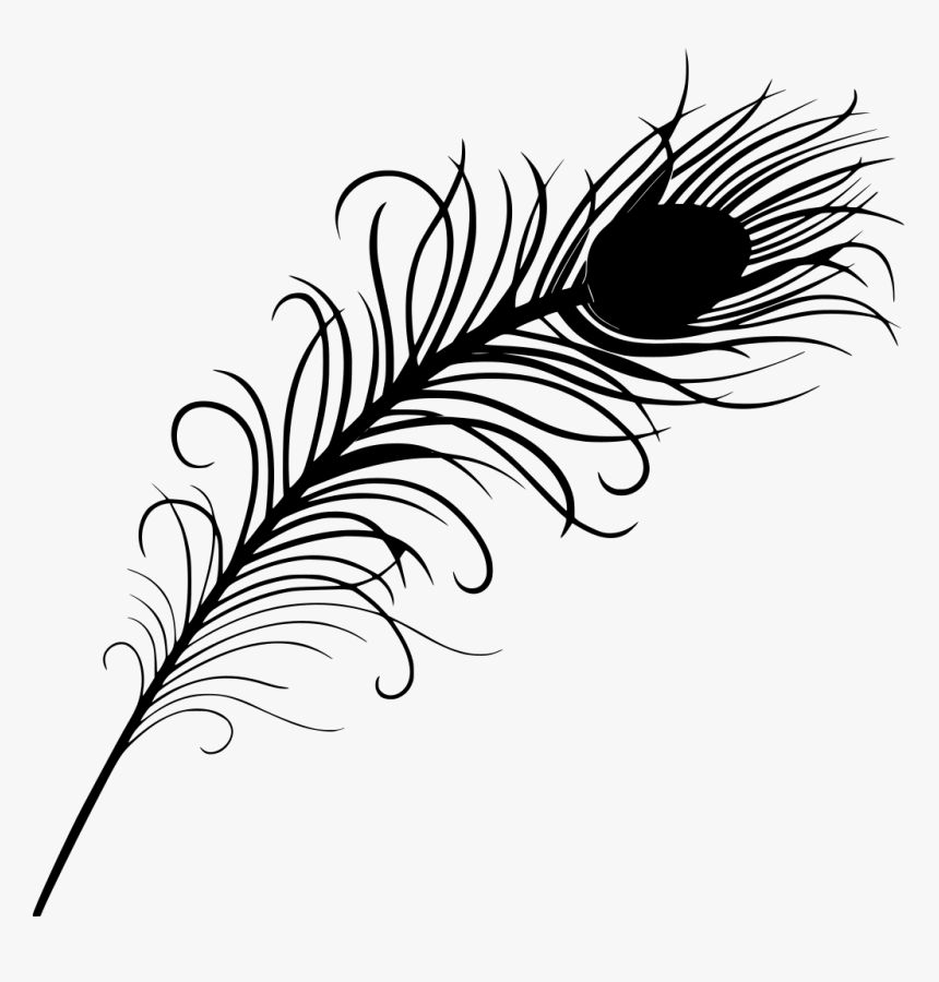 Png Format Peacock Feather Png, Transparent Png - kindpng