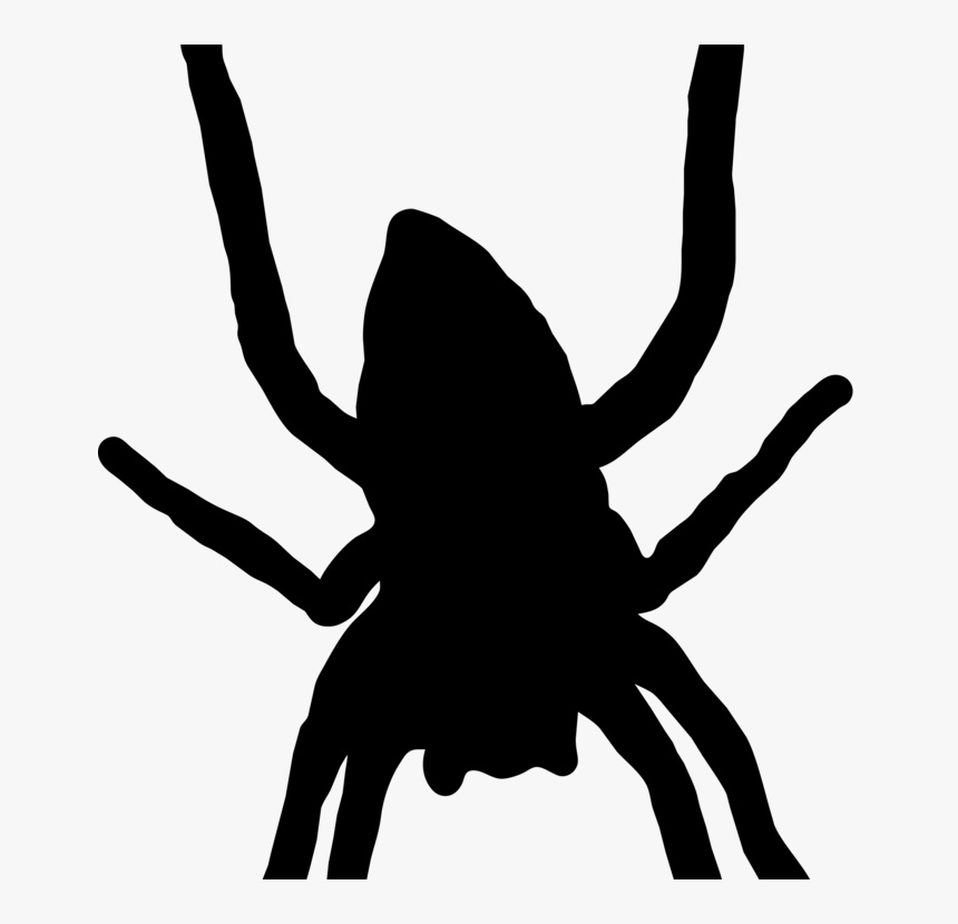 Spider Web Silhouette Southern Black Widow Arthropod - Clipart Of A Spider Silhouette, HD Png Download, Free Download