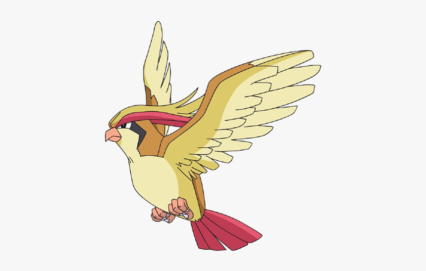 Pidgeot Png Transparent Png Kindpng | The Best Porn Website