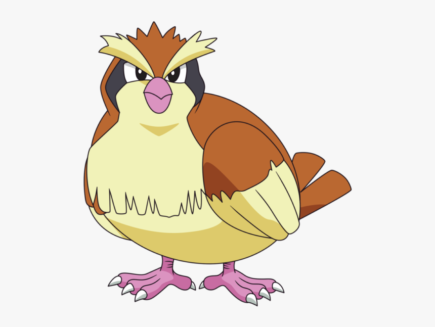 Fat Pidgey, HD Png Download, Free Download