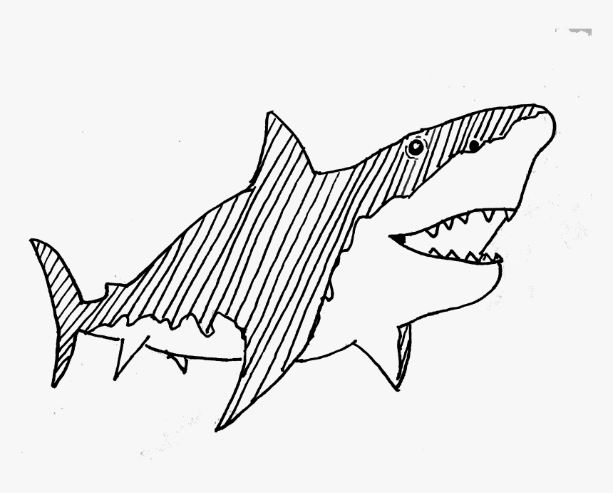 Shark, HD Png Download, Free Download