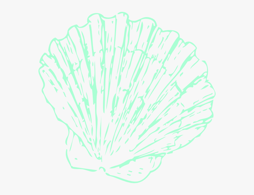 Greeen Sea Shell Svg Clip Arts - Illustration, HD Png Download, Free Download