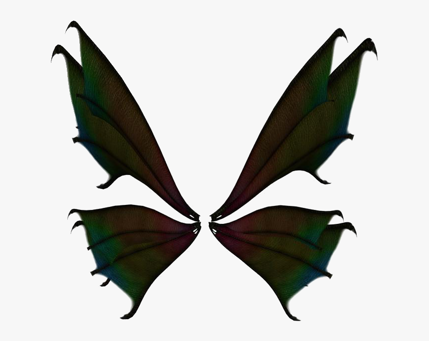 Wing 1 Transparent Background By Stock Cmoura Butterfly Wings With No Background Hd Png Download Kindpng