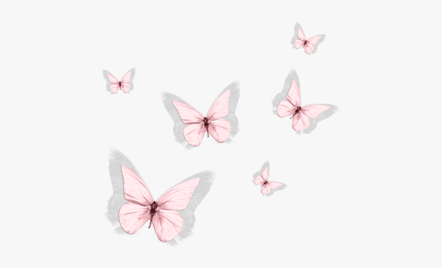 Aesthetic Pictures Of Butterflys - bmp-minkus