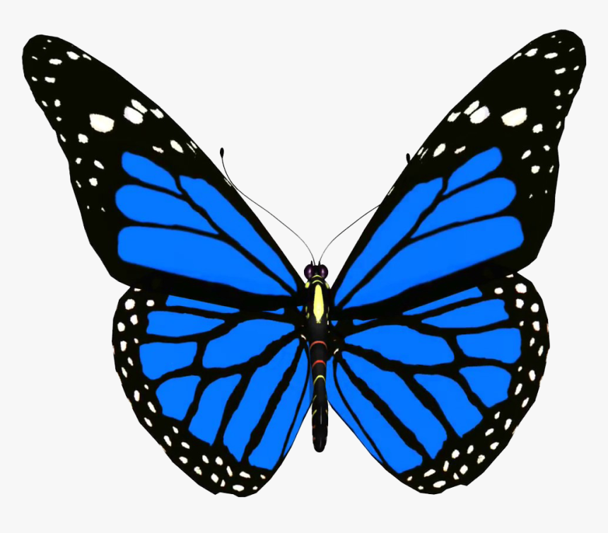 Download Colorful Butterfly Png Background Blue Monarch Butterfly Free Transparent Png Kindpng