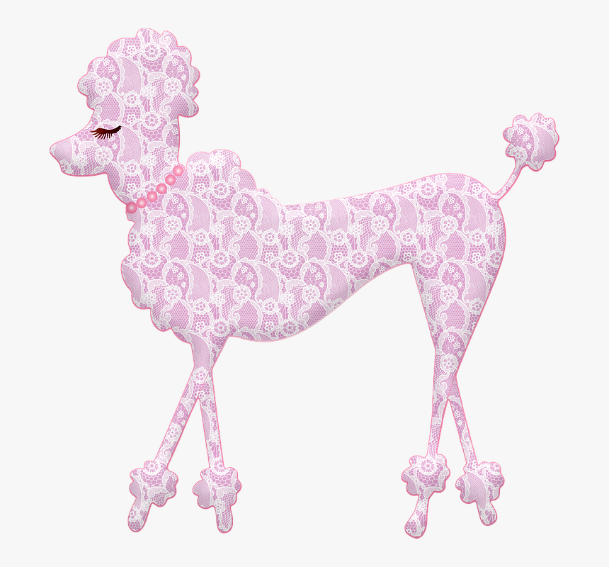 Poodle, Lace, Umbrella, Cute Dog, Pink Poodle, Eyelash - Standard Poodle, HD Png Download, Free Download