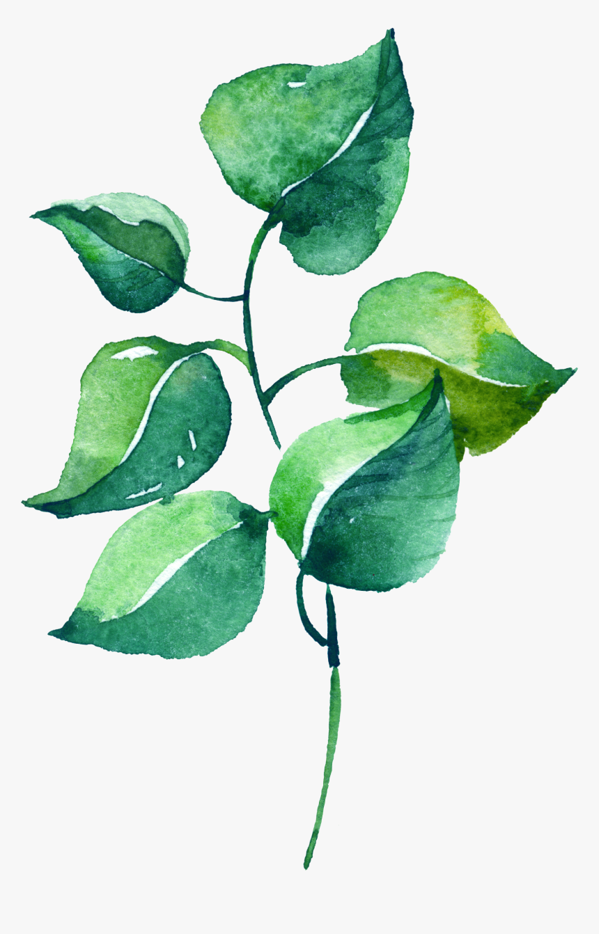 Watercolor Silver Leaf Eucalyptus Branch Png Free là một tác phẩm nghệ thuật đầy sức quyến rũ. Hình ảnh này sẽ đưa bạn vào một thế giới của sự tinh tế và cao cấp. Hãy cùng thưởng thức chi tiết tuyệt đẹp của tác phẩm này.