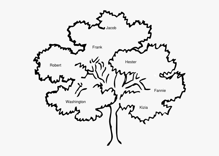 Banner Stock Cook Clip Art At Clker Com Vector - Outline Pictures Of Tree, HD Png Download, Free Download