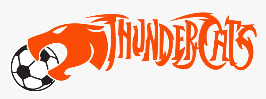 Thundercats-sc - Astra 1640040035 - Door Mat - Door - Black And White, HD Png Download, Free Download