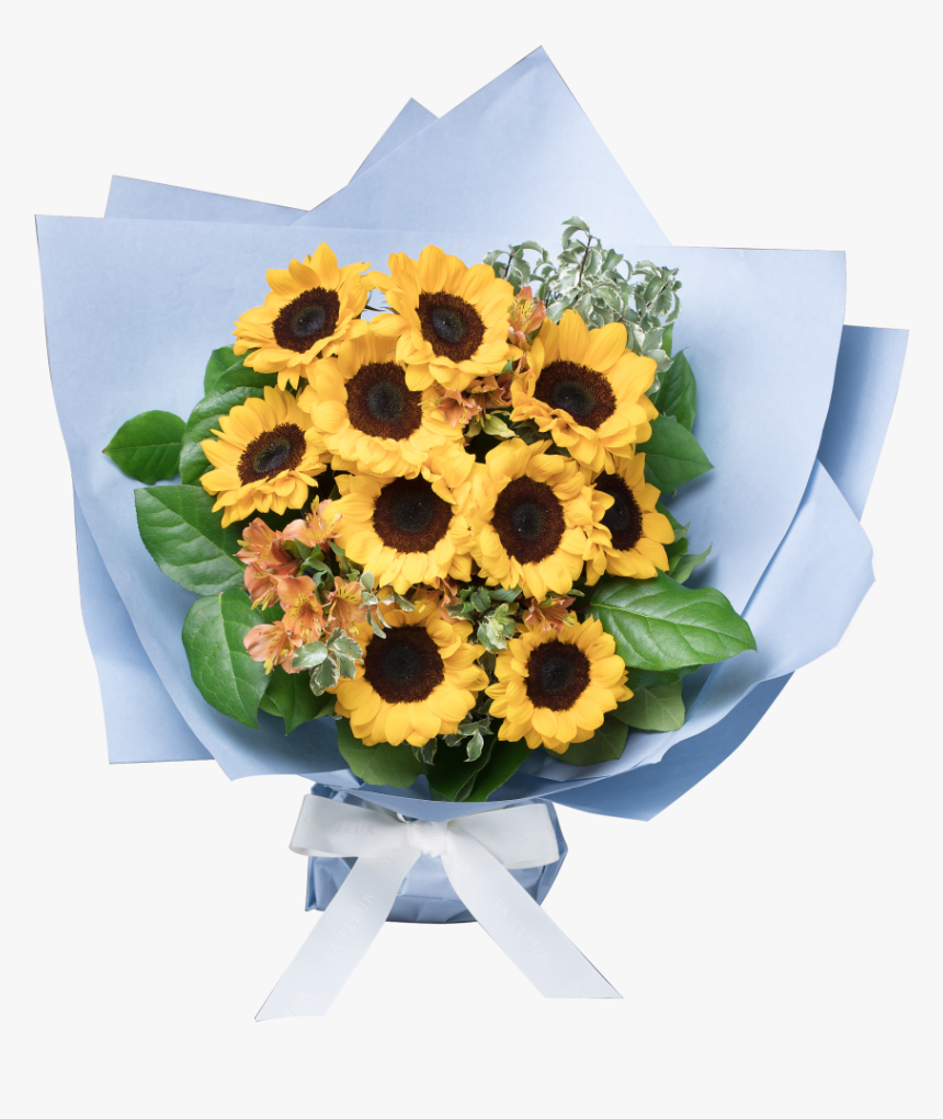 Sunflower, HD Png Download, Free Download