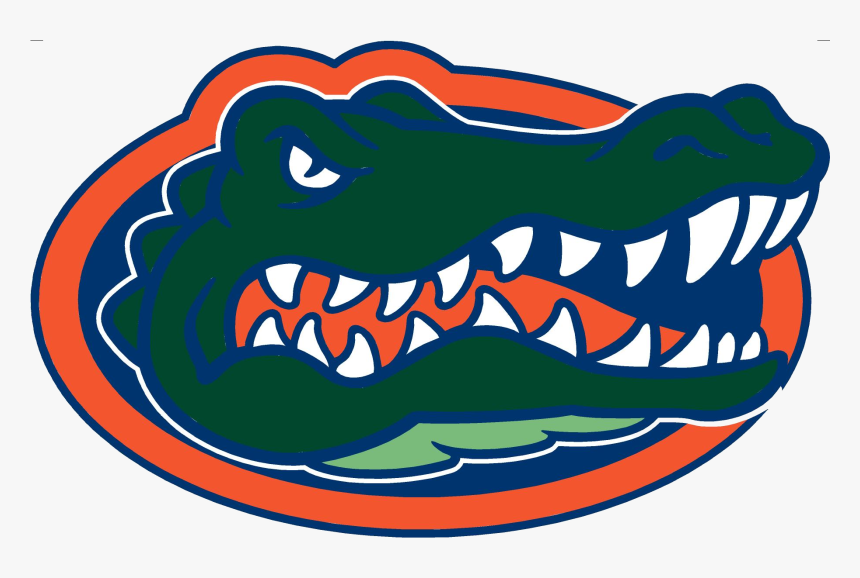 Florida Gator Png - Florida Gators, Transparent Png, Free Download