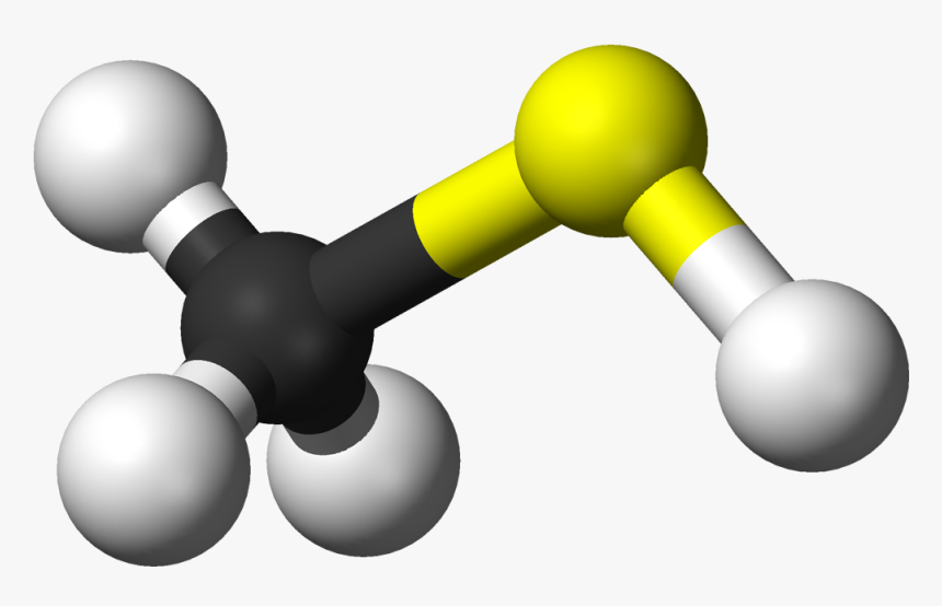 Methyl Mercaptan, HD Png Download, Free Download