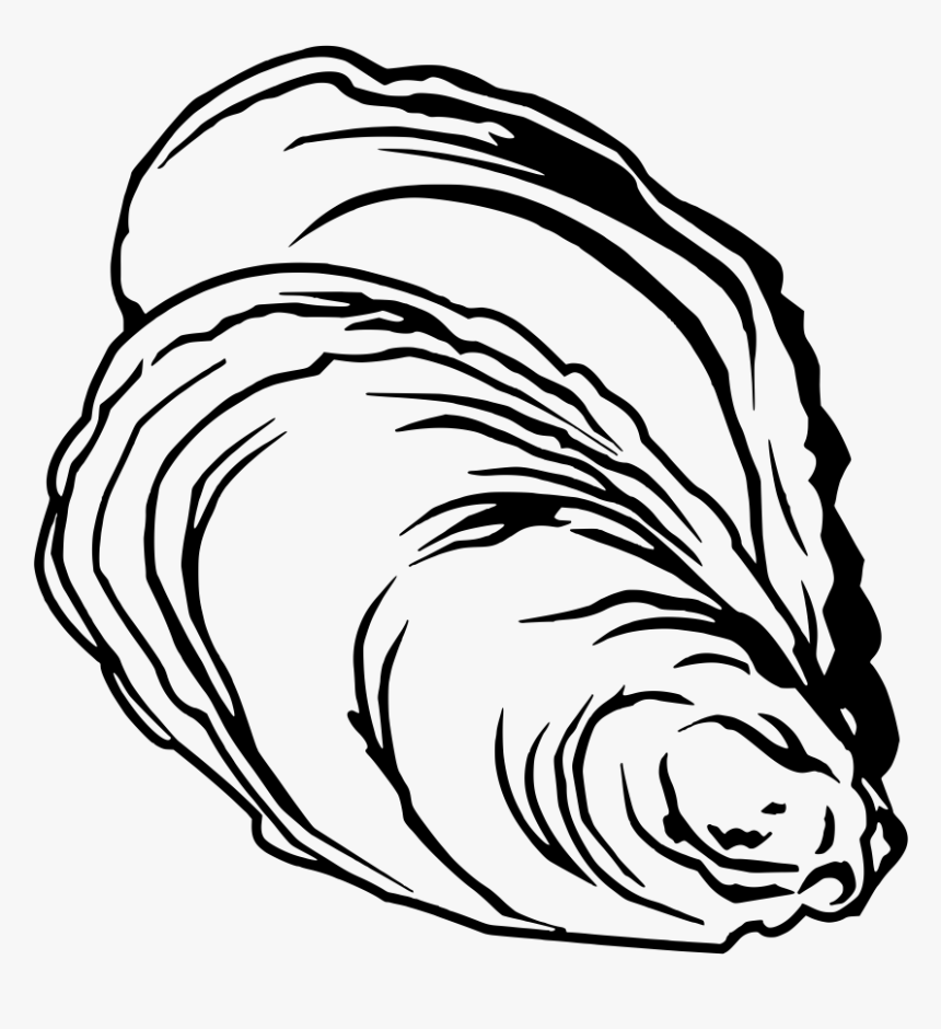Clip art oyster | Oyster clipart seafood, Picture #3039242 oyster