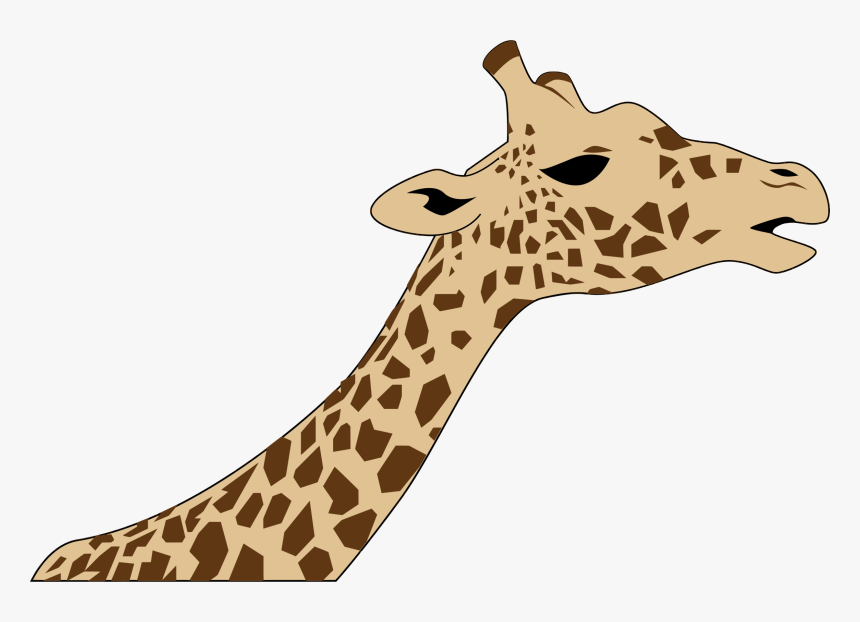 Giraffe Head Clip Art, HD Png Download, Free Download