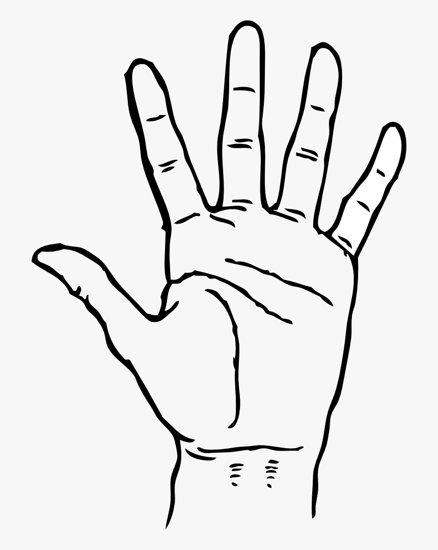 Hand Cliparts For Free Attention Clipart Signal And - Hand Clipart Black And White, HD Png Download, Free Download