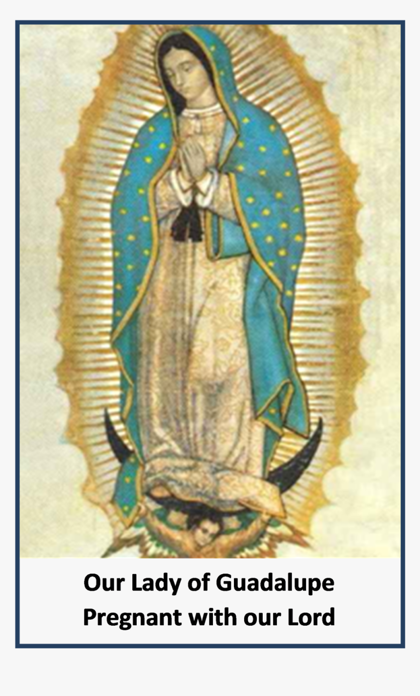 Basilica Of Our Lady Of Guadalupe, HD Png Download, Free Download