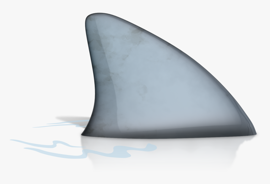 Shark, HD Png Download, Free Download