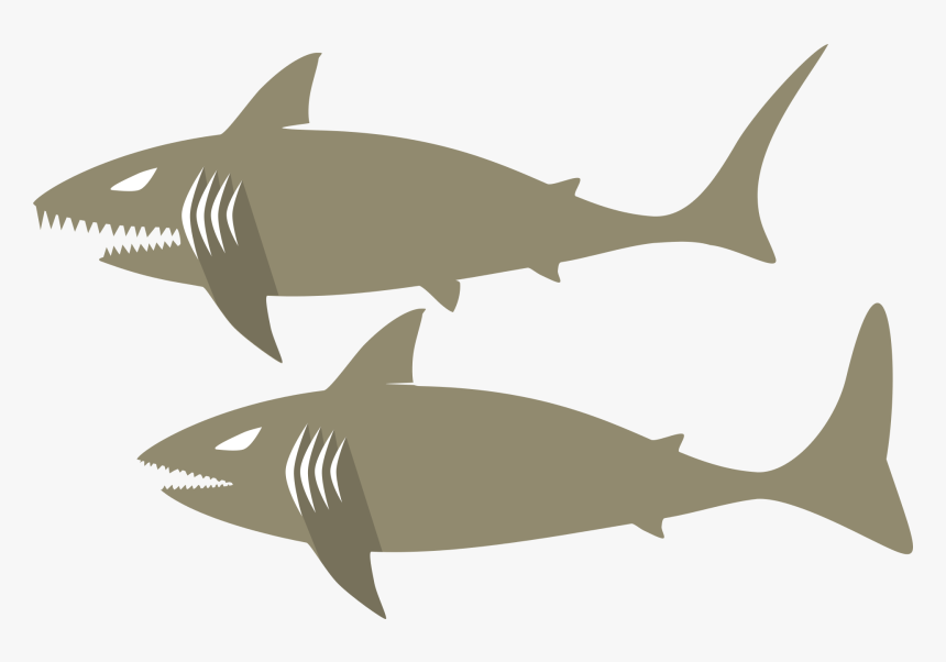 Marine Biology,shark,fin - กราฟฟิก ฉลาม, HD Png Download, Free Download