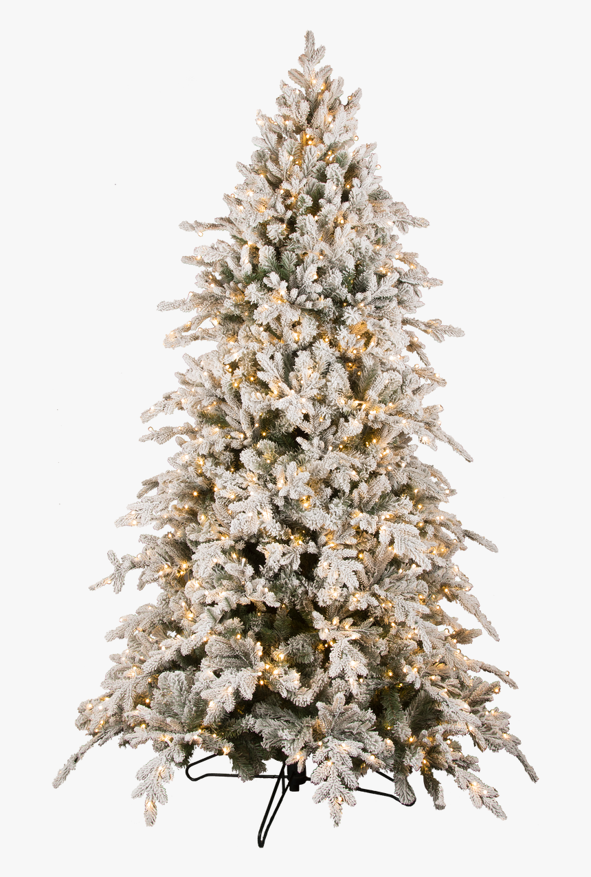 Christmas Tree, HD Png Download, Free Download