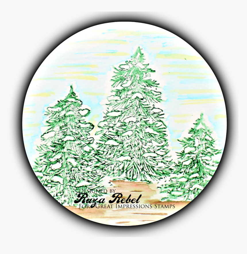 Transparent Snowy Tree Png - Colorado Spruce, Png Download, Free Download