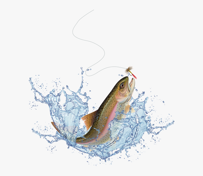 Jumping Salmon Png - Fish Jumping Out Of Water Transparent, Png Download, Free Download