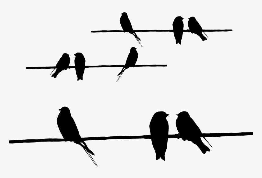 Barbed Wire Beak Silhouette Feather Font - Силуэты Птиц Для Вырезания, HD Png Download, Free Download