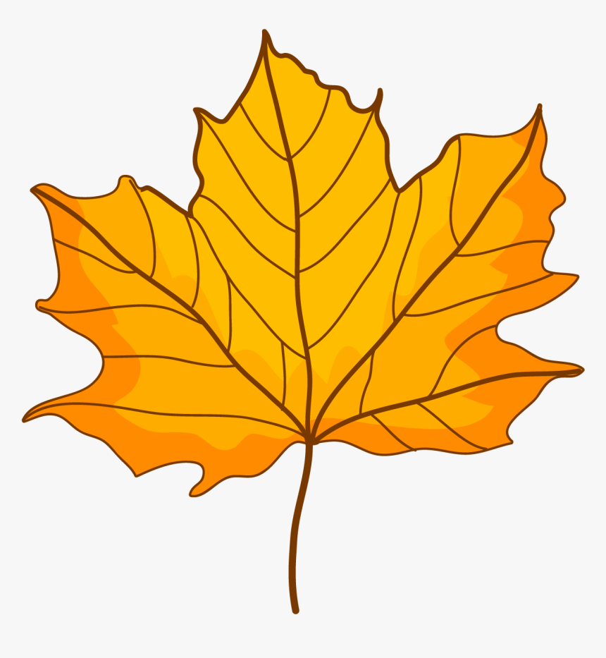 Maple Leaf, HD Png Download, Free Download