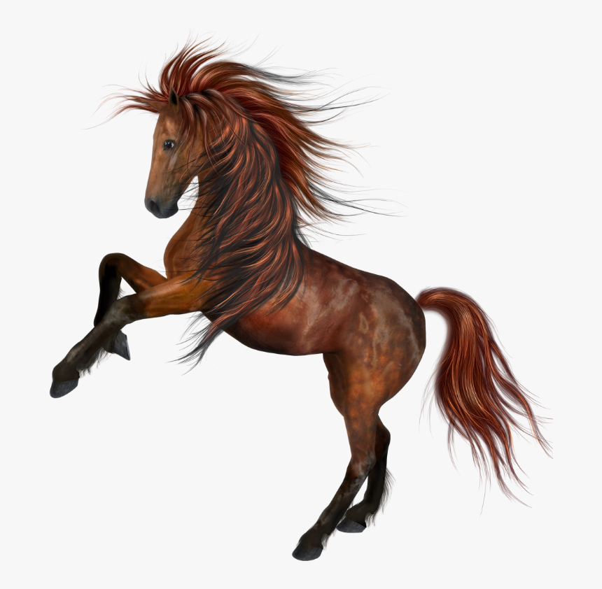 Beautiful Horse Png, Transparent Png, Free Download