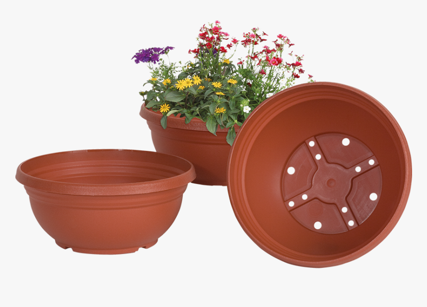 Bulb Bowls - Flowerpot, HD Png Download, Free Download