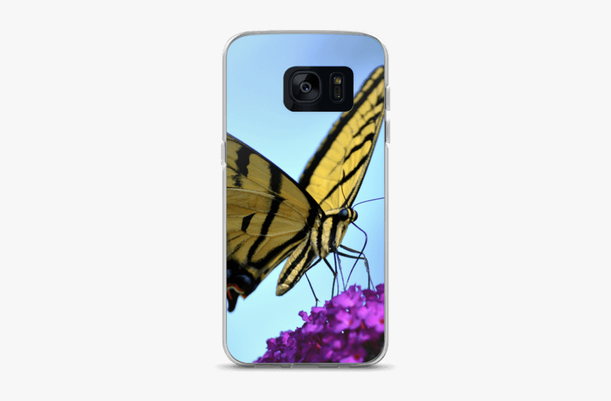 Yellow Butterfly In Nature, HD Png Download, Free Download