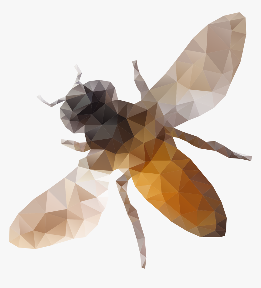 Low Poly Animal Transparent Png, Png Download, Free Download